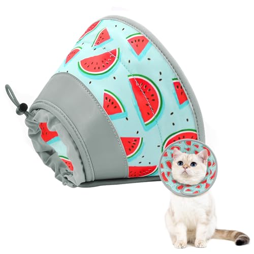 GoGoPaw Katzenkegelhalsband, weich, um Lecken zu stoppen, verstellbar, faltbar, leicht, Kätzchenzapfen nach Operationen, Erholung für Katzen und Kätzchen, Alternative zu Katzenkegeln (Blau, M) von GoGoPaw