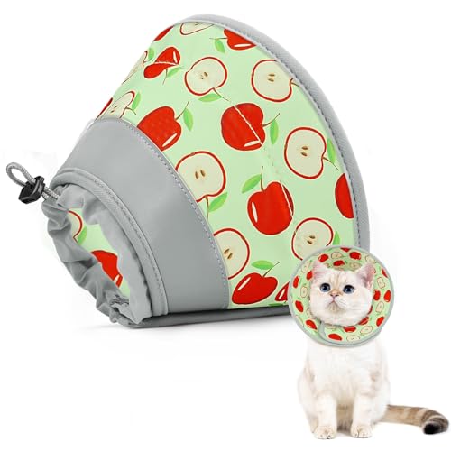 GoGoPaw Katzenkegelhalsband, weich, um Lecken zu stoppen, verstellbar, faltbar, leicht, Kätzchenzapfen nach Operationen, Genesung für Katzen und Kätzchen, elisabethanisches Halsband für Katzen GoGoPaw Katzenkegelhalsband, weich, um Lecken zu stoppen, verstellbar, faltbar, leicht, Kätzchenzapfen nach Operationen, Genesung für Katzen und Kätzchen, elisabethanisches Halsband für Katzen von GoGoPaw