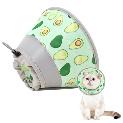 GoGoPaw Katzenkegelhalsband, weich, um das Lecken zu stoppen, verstellbar, faltbar, leicht, Kätzchenzapfen nach Operationen, Erholung für Katzen und Kätzchen, Katzenkegel-Alternative (Hellgrün, M) GoGoPaw Katzenkegelhalsband, weich, um das Lecken zu stoppen, verstellbar, faltbar, leicht, Kätzchenzapfen nach Operationen, Erholung für Katzen und Kätzchen, Katzenkegel-Alternative (Hellgrün, M) von GoGoPaw