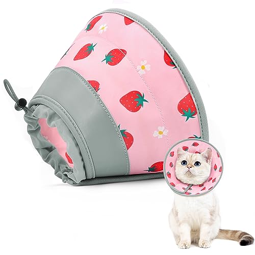 GoGoPaw Katzenkegelhalsband, weich, um das Lecken zu stoppen, verstellbar, faltbar, leicht, Kätzchenzapfen nach Operationen, Erholung für Katzen und Kätzchen, Katzenkegel-Alternative (Rosa, M) von GoGoPaw