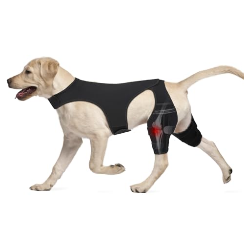 Hunde-Kniebandage für das Hinterbein, Hundebeinbandage, passend für große bis kleine Hunde, für Luxation der Patella, Hüftdysplasie, Kreuzbandriss, Kreuzbandverletzungen, Größe L Hunde-Kniebandage für das Hinterbein, Hundebeinbandage, passend für große bis kleine Hunde, für Luxation der Patella, Hüftdysplasie, Kreuzbandriss, Kreuzbandverletzungen, Größe L von GoGoPaw