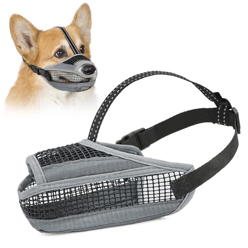 Hundemaulkorb für große, mittelgroße und kleine Hunde, weicher Netzmaulkorb für Hunde mit reflektierendem verstellbarem Riemen, verhindert Beißen, Kauen und Lecken, offene Hundenase für weniger Hundemaulkorb für große, mittelgroße und kleine Hunde, weicher Netzmaulkorb für Hunde mit reflektierendem verstellbarem Riemen, verhindert Beißen, Kauen und Lecken, offene Hundenase für weniger von GoGoPaw