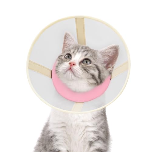 Katzenkegel-Halsband, weich, verstellbar, bequem, Air-Mesh-Erholungskegel nach Operationen, um Lecken und Kratzer zu stoppen, Alternative zu elisabethanischem Kunststoffhalsband für Katze Katzenkegel-Halsband, weich, verstellbar, bequem, Air-Mesh-Erholungskegel nach Operationen, um Lecken und Kratzer zu stoppen, Alternative zu elisabethanischem Kunststoffhalsband für Katze von GoGoPaw
