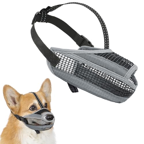 Maulkorb aus weichem Netzstoff mit reflektierendem Gurt – leichter Maulkorb für Hunde, um Beißen, Kauen und Lecken zu verhindern, offenes Nasen-Design reduziert Reibung und erhöht den Komfort (Grau, M Maulkorb aus weichem Netzstoff mit reflektierendem Gurt – leichter Maulkorb für Hunde, um Beißen, Kauen und Lecken zu verhindern, offenes Nasen-Design reduziert Reibung und erhöht den Komfort (Grau, M von GoGoPaw