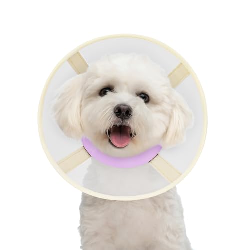 Weiches Hundehalsband, um Lecken zu stoppen, verstellbares, bequemes Netz-Genesungshalsband nach Operationen für kleine Miniaturhunde, Alternative zu elisabethanischen Kunststoffhalsbändern für die von GoGoPaw
