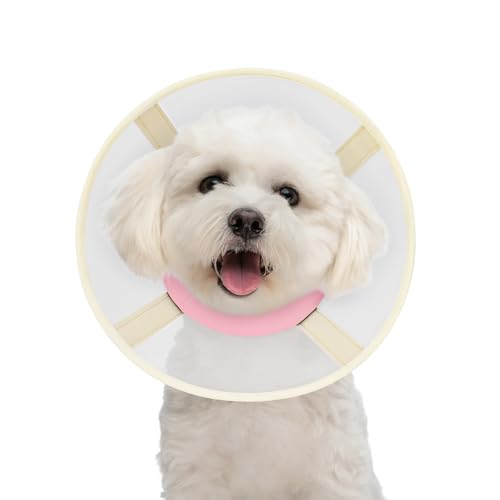 Weiches Hundehalsband, um Lecken zu stoppen, verstellbares, bequemes Netz-Genesungshalsband nach Operationen für kleine oder Miniaturhunde, Alternative zu elisabethanischen Kunststoffhalsbändern für Weiches Hundehalsband, um Lecken zu stoppen, verstellbares, bequemes Netz-Genesungshalsband nach Operationen für kleine oder Miniaturhunde, Alternative zu elisabethanischen Kunststoffhalsbändern für von GoGoPaw