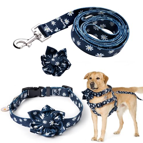 GoaePode Hundegeschirr, Halsband-Leinen-Set mit Glöckchen, verstellbare gepolsterte Weste, Blumenmuster Fliege und Leine, starke Schnalle für kleine, mittelgroße und große Hunde, Blau, Größe M GoaePode Hundegeschirr, Halsband-Leinen-Set mit Glöckchen, verstellbare gepolsterte Weste, Blumenmuster Fliege und Leine, starke Schnalle für kleine, mittelgroße und große Hunde, Blau, Größe M von GoaePode