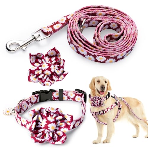 GoaePode Hundegeschirr, Halsband-Leinen-Set mit Glöckchen, verstellbare gepolsterte Weste, Blumenmuster Fliege und Leine, starke Schnalle für kleine, mittelgroße und große Hunde, Lila, Größe M GoaePode Hundegeschirr, Halsband-Leinen-Set mit Glöckchen, verstellbare gepolsterte Weste, Blumenmuster Fliege und Leine, starke Schnalle für kleine, mittelgroße und große Hunde, Lila, Größe M von GoaePode