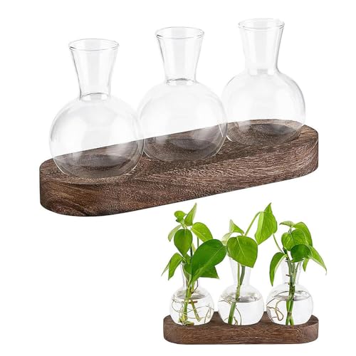 Gobesty Terrarienpflanzen-Vermehrungsstation mit 3 Glühbirnen, Glasvase mit Holztablett, Tisch-Glas-Pflanzgefäß, Glühbirnenvase, Desktop-Glaspflanzen-Mini-Terrarium für Hydrokulturpflanzen, Heimbüro von Gobesty