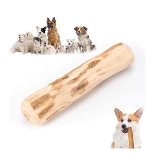 Godemmio Mumbies Hundekaustäbchen aus Holz, Kaustab für Welpen, Kaustäbe zum Zahnen, Kaffee-Holz, groß, für aggressive Kauer, echter Speck, unzerstörbares Hundespielzeug, um sie in den Bus zu halten Godemmio Mumbies Hundekaustäbchen aus Holz, Kaustab für Welpen, Kaustäbe zum Zahnen, Kaffee-Holz, groß, für aggressive Kauer, echter Speck, unzerstörbares Hundespielzeug, um sie in den Bus zu halten von Godemmio