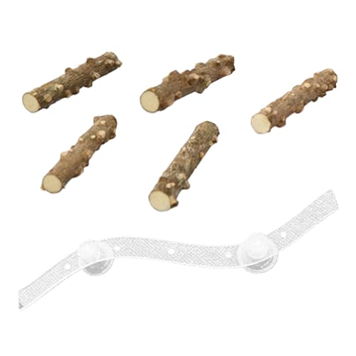 Godpqiui Vogelsitzhalter Mit Saugnapf,Nymphensittich Kletterleiter Mit Saugnäpfen - Multifunktionale Saugnapf-Sitzstange für Papageienkäfig – für Wellensittiche, Nymphensittiche und Conures von Godpqiui
