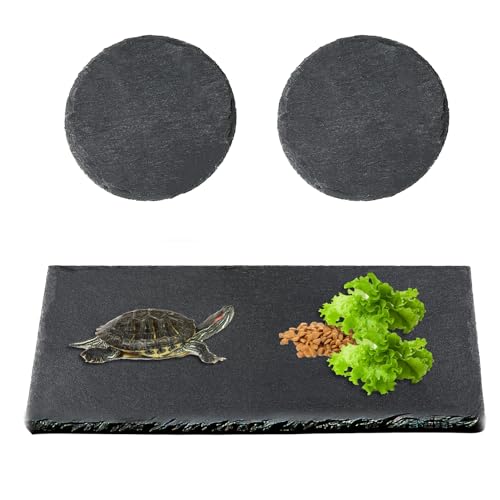 3 Stück Reptilien-Plattform, für Aquarium, Schildkröte, Baden, Ruheplattform, Schildkröten-Lebensraum, Schiefer-Pad, Schildkröte, Futternapf, Schale, Ruhe, Naturstein-Plattform, Zubehör, Dekoration 3 Stück Reptilien-Plattform, für Aquarium, Schildkröte, Baden, Ruheplattform, Schildkröten-Lebensraum, Schiefer-Pad, Schildkröte, Futternapf, Schale, Ruhe, Naturstein-Plattform, Zubehör, Dekoration von Goerpn