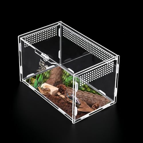 Reptilien-Terrarien, Insektengehege, 20 × 12 × 12 cm, transparentes Acryl, Reptilien-Futterbox, Insekten-Lebensraum, Terrarium, Koffer für Spinne, Eidechse, Skorpion, Geckos, Tausendfüßler, Hörner, Reptilien-Terrarien, Insektengehege, 20 × 12 × 12 cm, transparentes Acryl, Reptilien-Futterbox, Insekten-Lebensraum, Terrarium, Koffer für Spinne, Eidechse, Skorpion, Geckos, Tausendfüßler, Hörner, von Goerpn