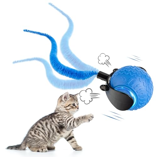 Gofady Katzenball Elektrisch Wiederaufladbar mit Powerball Katze - Interaktiver Spielball für Katzen 360°, 3 Modi Katzenspielzeug Ball Elektrisch mit USB & LED-Leuchten (Blau) Gofady Katzenball Elektrisch Wiederaufladbar mit Powerball Katze - Interaktiver Spielball für Katzen 360°, 3 Modi Katzenspielzeug Ball Elektrisch mit USB & LED-Leuchten (Blau) von Gofady