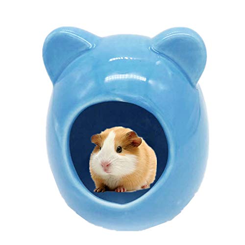 hasenhaus Hamster zubehör Hamster zubehör Hamster Hamster Spielzeug Gerbil Spielzeug Guinea Pig Haus 7.8cm,Blue von Gofeibao