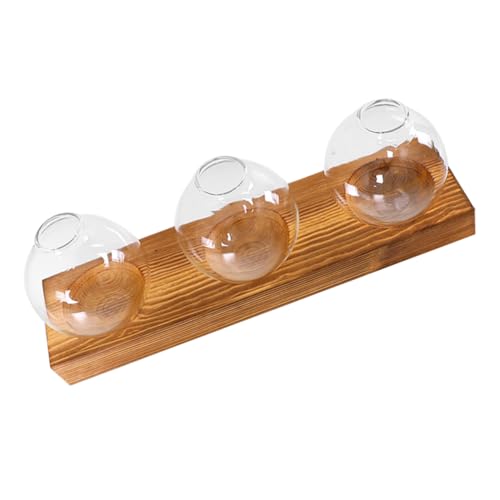 Gogogmee 1 Satz Hydrokulturbehälter Mit DREI Anschlüssen Saftiges Terrarium Blumenzwiebelvasen Indoor-pflanzgefäße Pflanzenvermehrungsstationen Hydroponisches Terrarium Knospenvasen Glas Gogogmee 1 Satz Hydrokulturbehälter Mit DREI Anschlüssen Saftiges Terrarium Blumenzwiebelvasen Indoor-pflanzgefäße Pflanzenvermehrungsstationen Hydroponisches Terrarium Knospenvasen Glas von Gogogmee