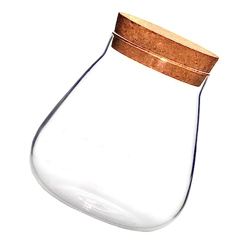 Gogogmee 1 Stück Korkdeckel Glasvase mit DIY Mikrolandschaft Dekorativer Aufbewahrungstopf für Sukkulenten und Kleine Pflanzen Vielseitig Einsetzbar als Bonbon oder Obstbehälter für von Gogogmee