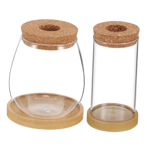 Gogogmee 2Stücke Glaspflanzgefäße mit Korkdeckel Hydrokultur Terrarien für Sukkulenten und Luftpflanzen Einfach zu Bedienen und Wartungsarm für Kreative Miniaturgärten von Gogogmee