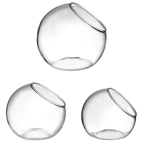 Gogogmee 3 Stück Terrarium Mikrolandschaft Flasche für Pflanzen Klare Glasvase für Kreative Deko und DIY Projekte Gogogmee 3 Stück Terrarium Mikrolandschaft Flasche für Pflanzen Klare Glasvase für Kreative Deko und DIY Projekte von Gogogmee