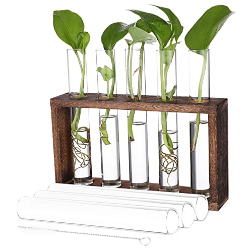 Gogogmee Container Schreibtischdekoration Einweihungsgeschenke neues Zuhause Pilzdekor Bürodekoration büro Dekoration Anlage Vase Pflanzenvermehrungsrohr Pflanzenvermehrungsstand Protokoll Gogogmee Container Schreibtischdekoration Einweihungsgeschenke neues Zuhause Pilzdekor Bürodekoration büro Dekoration Anlage Vase Pflanzenvermehrungsrohr Pflanzenvermehrungsstand Protokoll von Gogogmee