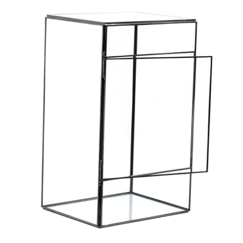 Gogogmee Geometrisches Glaspflanzen Terrarium DIY Landschaftscontainer und Schwarzblech für Tischdekoration im Innenbereich von Gogogmee