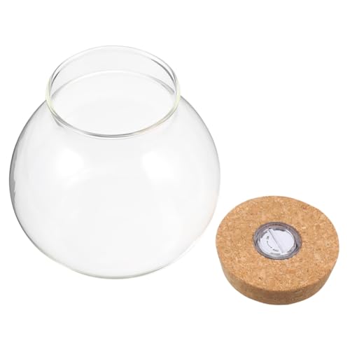 Gogogmee Glas Terrarium mit LED Licht Korkdeckel Runder Pflanzbehälter für Hydrokultur und Vermehrung Dekorative Ökoflasche für Büro und Zuhause von Gogogmee