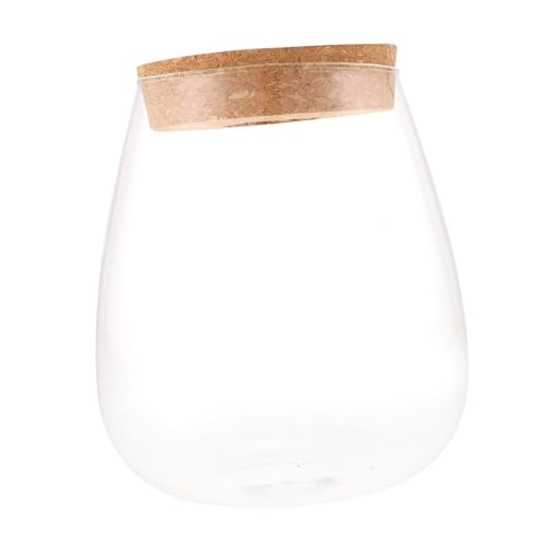 Gogogmee Landschafts Glasflasche für Pflanzen Großes Ökologisches Terrarium aus Robustem Material Glatte Oberfläche Dekorative Pflanzflasche für Moos und Blumen im Innenbereich von Gogogmee