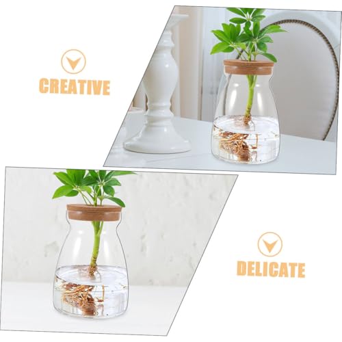 Gogogmee Micro Landscape Terrarium Glasflasche mit Korkdeckel Runde Hydroponik Pflanzstation für Zimmerpflanzen und Betta Fisch Dekoratives Ökosystem Flaschengarten für Zuhause und Büro Gogogmee Micro Landscape Terrarium Glasflasche mit Korkdeckel Runde Hydroponik Pflanzstation für Zimmerpflanzen und Betta Fisch Dekoratives Ökosystem Flaschengarten für Zuhause und Büro von Gogogmee