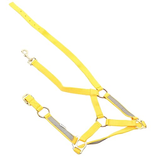 Gogogmee Pferdehalfter Sicherheitspferd Halter Professioneller Pferdehalter Tragbares Reitausrüstung Halfter Für Pferde Gogogmee Pferdehalfter Sicherheitspferd Halter Professioneller Pferdehalter Tragbares Reitausrüstung Halfter Für Pferde von Gogogmee