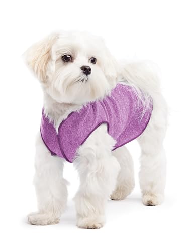 Gold Paw Sonnenschutz-T-Shirt für Hunde, UV-Schutz, Angstlinderung bei Haustieren, Wundschutz, Schutz vor Fuchsschwanzgras, bei Alopezie, maschinenwaschbar, für alle Jahreszeiten, Größe 8, Violett Gold Paw Sonnenschutz-T-Shirt für Hunde, UV-Schutz, Angstlinderung bei Haustieren, Wundschutz, Schutz vor Fuchsschwanzgras, bei Alopezie, maschinenwaschbar, für alle Jahreszeiten, Größe 8, Violett von Gold Paw