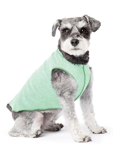 Gold Paw Sonnenschutz-T-Shirt für Hunde, UV-Schutz, Angstlinderung bei Haustieren, Wundschutz, schützt vor Fuchsschwanz, hilft bei Alopezie, maschinenwaschbar, für alle Jahreszeiten, Größe 10 Gold Paw Sonnenschutz-T-Shirt für Hunde, UV-Schutz, Angstlinderung bei Haustieren, Wundschutz, schützt vor Fuchsschwanz, hilft bei Alopezie, maschinenwaschbar, für alle Jahreszeiten, Größe 10 von Gold Paw