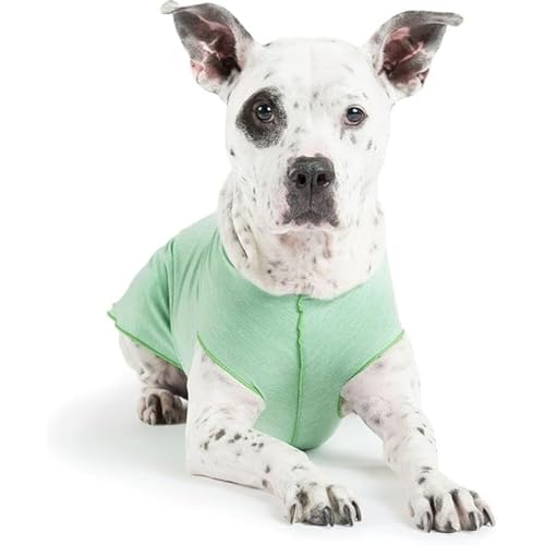 Gold Paw Sun Shield Dog Tee,T-Shirt für Hunde,UV-Schutz, Haustierangstlinderung, Wundpflege,Schützt vor Fuchsschwänzen, hilft Alopezie,Maschinenwaschbar, alle Jahreszeiten,Größe 10,Pistazien von Gold Paw