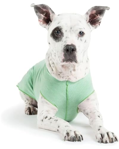 Gold Paw Sun Shield Dog Tee,T-Shirt für Hunde,UV-Schutz, Haustierangstlinderung, Wundpflege,Schützt vor Fuchsschwänzen, hilft Alopezie,Maschinenwaschbar, alle Jahreszeiten,Größe 12,Pistazie von Gold Paw