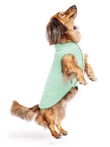 Gold Paw Sun Shield Dog Tee,T-Shirt für Hunde,UV-Schutz, Haustierangstlinderung, Wundpflege,Schützt vor Fuchsschwänzen, hilft Alopezie,Maschinenwaschbar, alle Jahreszeiten,Größe 12,Pistazie Gold Paw Sun Shield Dog Tee,T-Shirt für Hunde,UV-Schutz, Haustierangstlinderung, Wundpflege,Schützt vor Fuchsschwänzen, hilft Alopezie,Maschinenwaschbar, alle Jahreszeiten,Größe 12,Pistazie von Gold Paw