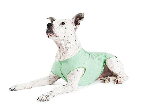 Gold Paw Sun Shield Dog Tee,T-Shirt für Hunde,UV-Schutz, Haustierangstlinderung, Wundpflege,Schützt vor Fuchsschwänzen, hilft Alopezie,Maschinenwaschbar, alle Jahreszeiten,Größe 22,Pistazie von Gold Paw