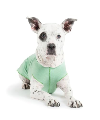 Gold Paw Sun Shield Dog Tee,T-Shirt für Hunde,UV-Schutz, Haustierangstlinderung, Wundpflege,Schützt vor Fuchsschwänzen, hilft Alopezie,Maschinenwaschbar, alle Jahreszeiten,Größe 8,Pistazien von Gold Paw