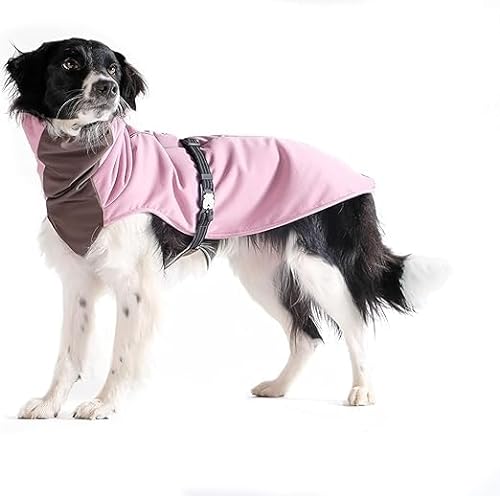 Goldpaw Hundemantel für den Winter, isolierte Haustierjacke für kaltes Wetter, verstellbare Passform und stilvolle Hundeoberbekleidung, Gold, Größe 24 von Gold Paw