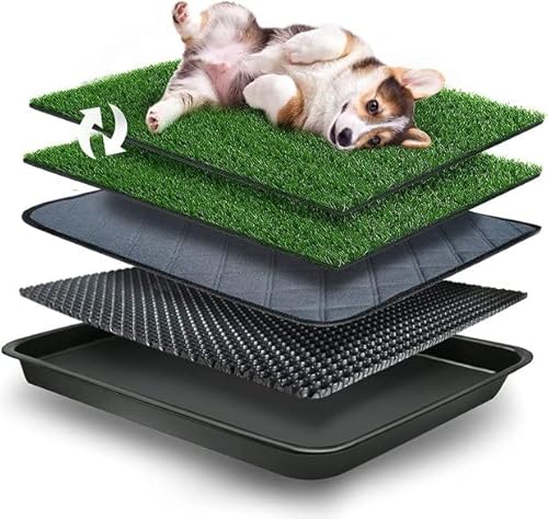 GoldOuya 50*60CM Kunstrasen Hundetoilette Hundetoilette für Kleine Hunde Welpenklo Haustiertoilette Trainingsunterlage Wiederverwendbare Haustiertoilette für Haustiere für Kleine Grosse Hunde Tier WC GoldOuya 50*60CM Kunstrasen Hundetoilette Hundetoilette für Kleine Hunde Welpenklo Haustiertoilette Trainingsunterlage Wiederverwendbare Haustiertoilette für Haustiere für Kleine Grosse Hunde Tier WC von GoldOuya