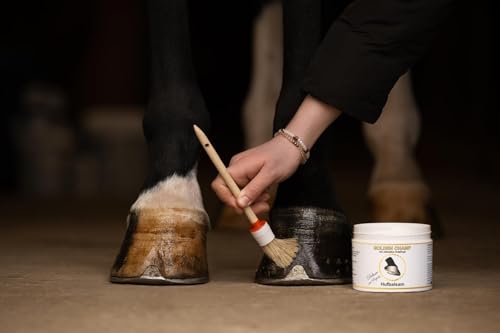 Golden Champ Hufbalsam Deluxe mit Propolis & ätherischen Ölen – 500 ml Intensive Pflege für trockene & brüchige Hufe Golden Champ Hufbalsam Deluxe mit Propolis & ätherischen Ölen – 500 ml Intensive Pflege für trockene & brüchige Hufe von Golden Champ - Goldrichtig