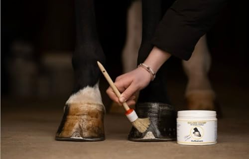 Golden Champ Hufbalsam Deluxe – mit Propolis & ätherischen Ölen | Intensive Pflege für Starke, elastische Hufe 500ml Golden Champ Hufbalsam Deluxe – mit Propolis & ätherischen Ölen | Intensive Pflege für Starke, elastische Hufe 500ml von Golden Champ
