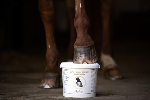 Golden Champ Hufkur 3 Kg von Golden Champ