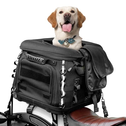 Goldfire Haustier-Tragetasche, tragbar, wetterbeständig, Motorrad-Transportbox für Hunde/Katzen, für Straßenrutsche, Straßenking, mit Gepäckträger oder Beifahrersitz, Touring, Trike-Modelle (schwarz) Goldfire Haustier-Tragetasche, tragbar, wetterbeständig, Motorrad-Transportbox für Hunde/Katzen, für Straßenrutsche, Straßenking, mit Gepäckträger oder Beifahrersitz, Touring, Trike-Modelle (schwarz) von Goldfire