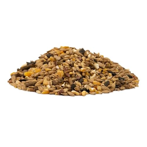 GOLDPFERD Powermüsli P20 25kg von GOLDPFERD