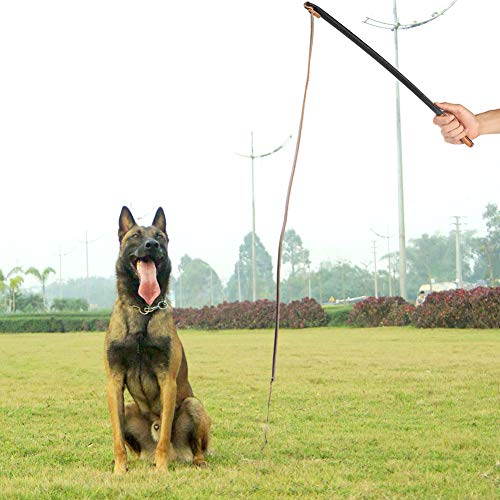 Aids Hundepeitsche, 53 × 3 × 3, aus Leder, für mittelgroße und große Hunde, Farbe zufällig von Gonetre
