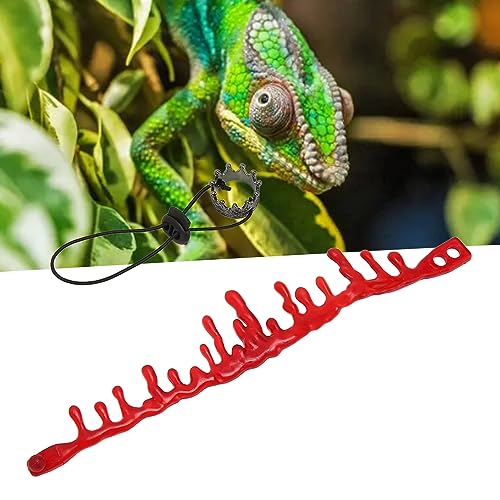 Bartagamen-Kronen-Halsketten-Set, Modisches Reptilien-Kostüm, Foto-Requisiten, Eidechsen-Zubehör, Haustier-Kronen-Set, Halloween Bartagamen-Kronen-Halsketten-Set, Modisches Reptilien-Kostüm, Foto-Requisiten, Eidechsen-Zubehör, Haustier-Kronen-Set, Halloween von Gonetre