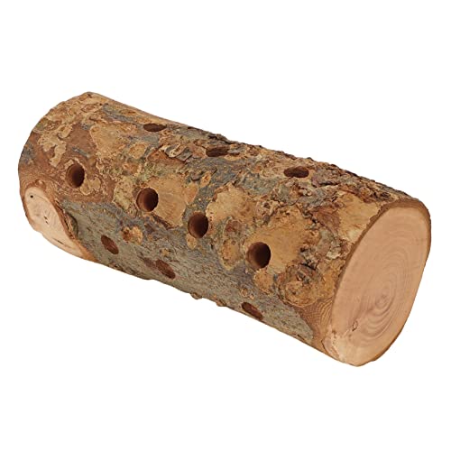 Gonetresc9y2thxfw-12 Hamsterkauspielzeug aus Holz, stehender Stick, Vogelkäfig, PerchLog Kauspielzeug, sicheres Kauspielzeug für Molaren Biss aus Holz, stehender Stock für kleine Tiere Gonetresc9y2thxfw-12 Hamsterkauspielzeug aus Holz, stehender Stick, Vogelkäfig, PerchLog Kauspielzeug, sicheres Kauspielzeug für Molaren Biss aus Holz, stehender Stock für kleine Tiere von Gonetre