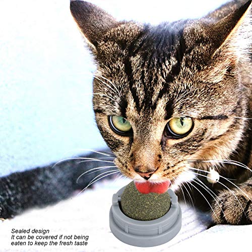 Katzenspielzeug, Haustierspielzeug, Katzenminze-Spielzeug, Katzensnack, Lecken, Katzenminze, Ernährung, Gesunde Runde Zähne, Reinigung, Haustierspielzeug-Zubehör Katzenspielzeug, Haustierspielzeug, Katzenminze-Spielzeug, Katzensnack, Lecken, Katzenminze, Ernährung, Gesunde Runde Zähne, Reinigung, Haustierspielzeug-Zubehör von Gonetre