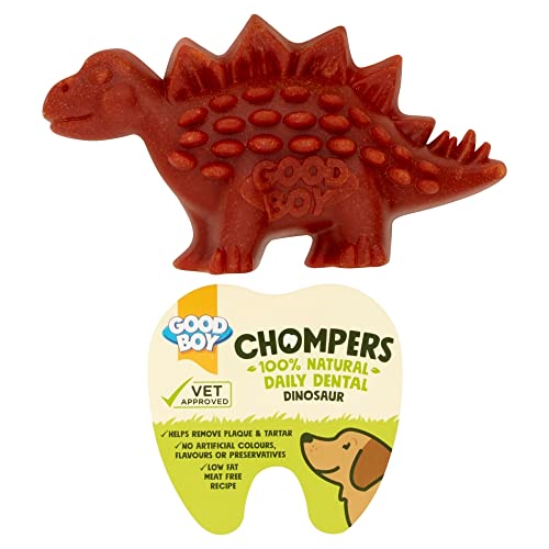 Good Boy Chompers Dental Dinosaurier von Good Boy