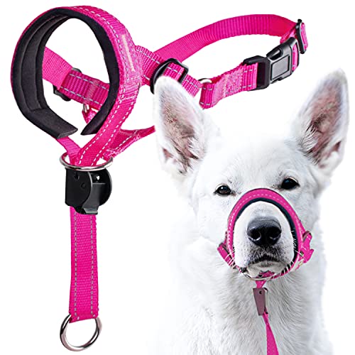 GoodBoy Halfter für Hunde, Nylon, Pink, 4 Stück GoodBoy Halfter für Hunde, Nylon, Pink, 4 Stück von GoodBoy