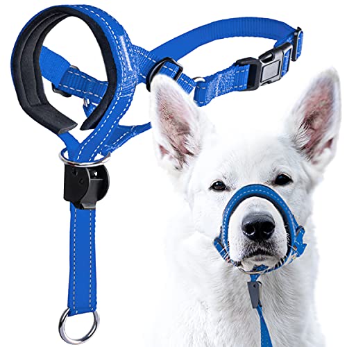 GoodBoy Hundehalfter mit Sicherheitsgurt, verhindert starkes Ziehen an der Leine, gepolstertes Halfter für kleine, mittelgroße und große Hunde, inklusive Halfter (Größe 3, blaues Nylon) von GoodBoy